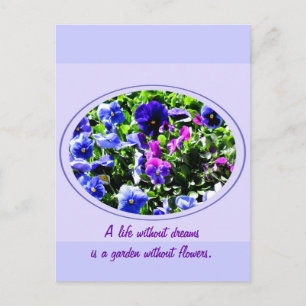 Pansy Postcard