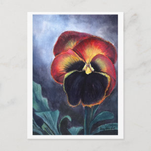 Pansy postcard