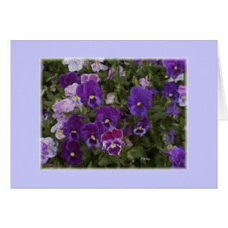 pansy purple