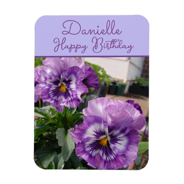 Pansy Purple Flower floral Girls Name Birthday Magnet (Vertical)