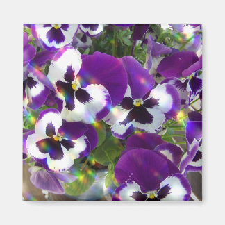 Pansy Square Magnet