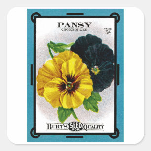 Pansy Square Sticker