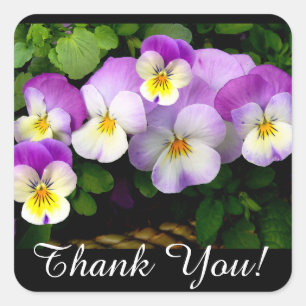 PANSY "Thank You!" Stickers