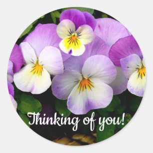 Pansy Thinking of You Classic Round Sticker