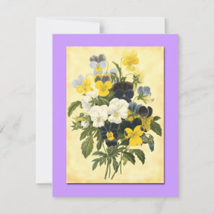 Pansy Violets Blank Botanical Art Cards
