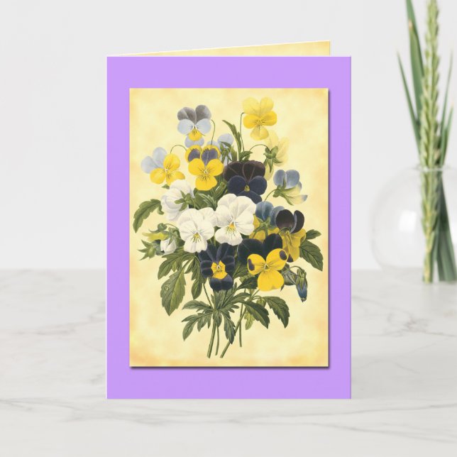 Pansy Violets Blank Botanical Art Cards (Front)