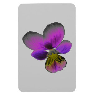 Pansy Wild Dark Purple Premium Magnet