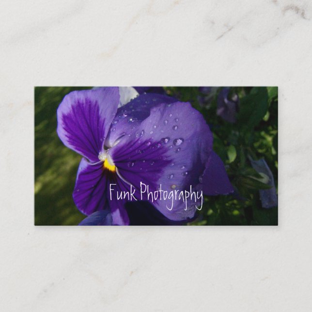 Pansy with Water Droplets Business Card (Front)