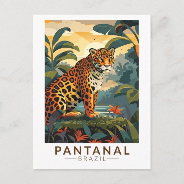 Pantanal Brazil Jaguar Travel Art Vintage Postcard (Front)