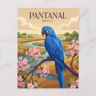 Pantanal Brazil Postcard