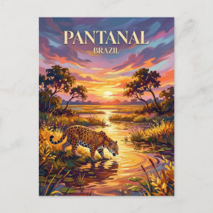 Pantanal Brazil Postcard