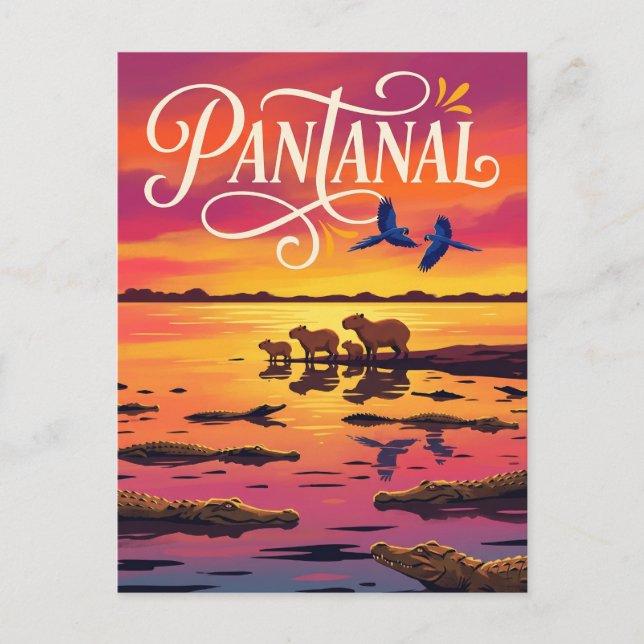 Pantanal Brazil Postcard (Front)