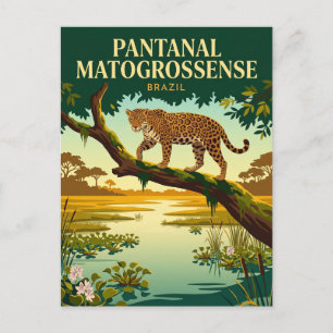 Pantanal Matogrossense National Park Brazil Postcard