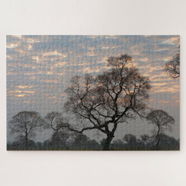 Pantanal Wetlands | South America, Brazil Jigsaw Puzzle (Horizontal)