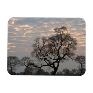 Pantanal Wetlands   South America, Brazil Magnet