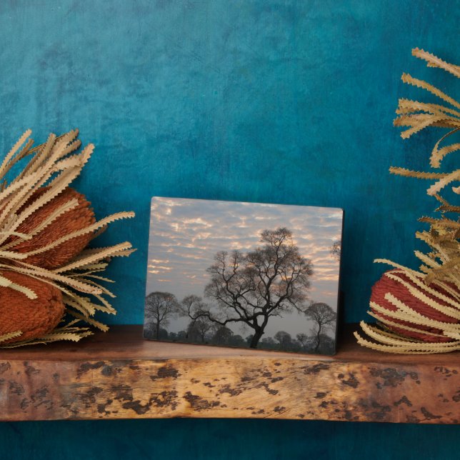 Pantanal Wetlands | South America, Brazil Plaque (Side)