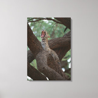 Panther Canvas Print