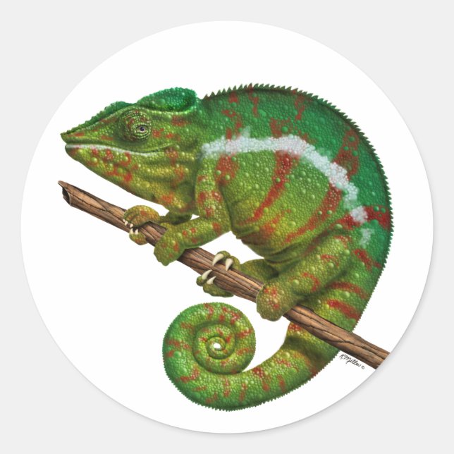 Panther Chameleon Digital Painting Classic Round Sticker (Front)