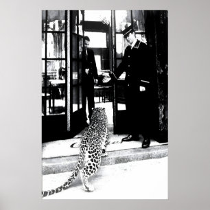 Panther in Restaurant, 1950s Black and White Poster