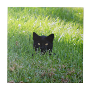 Panther in the Grass Tile