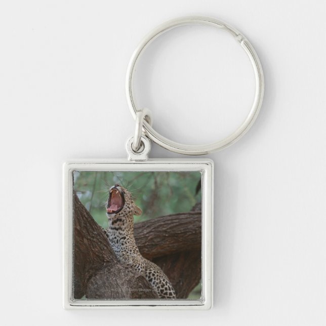 Panther Key Ring (Front)
