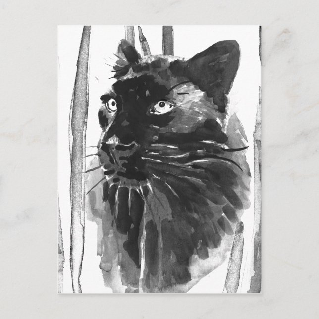 Panther Portrait Postcard (Front)