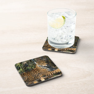Panthera Jaguar  Cork Coasters
