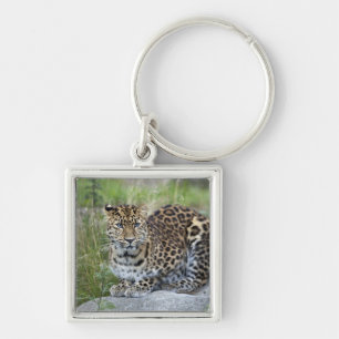 Panthera pardus orientalis key ring