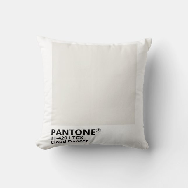 Pantone Inspiration 2026 Cushion (Front)