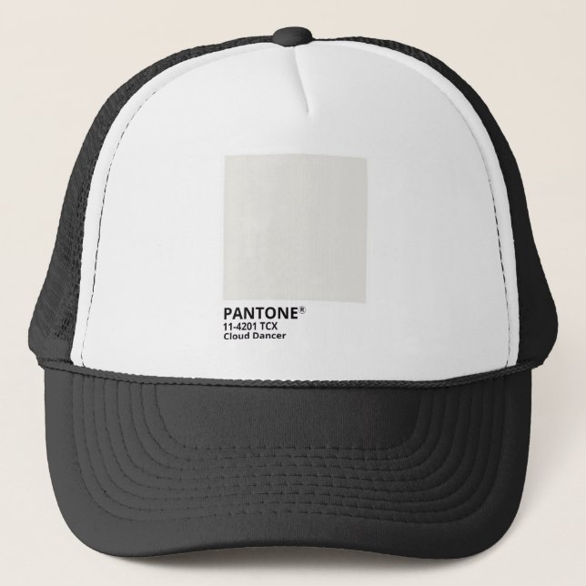 Pantone Inspiration 2026 Trucker Hat (Front)