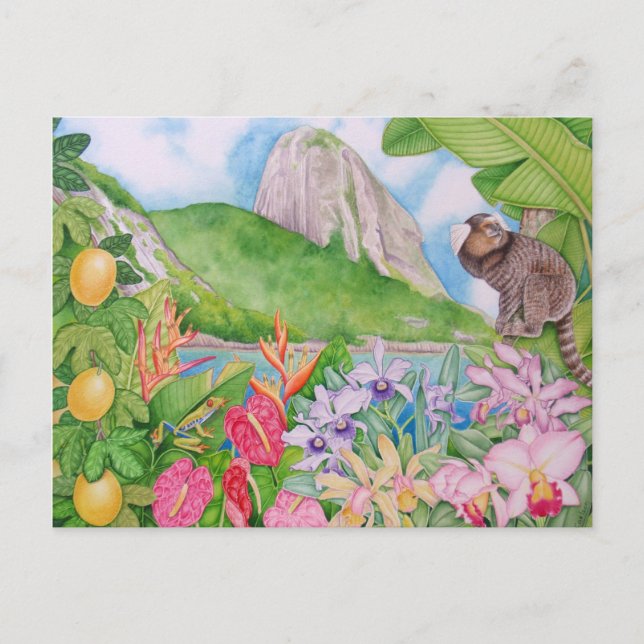 Pão de Açúcar Postcard (Front)