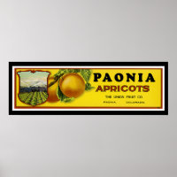 Paonia Apricots Label Art