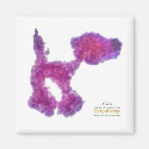 PAP Smear Dog Magnet