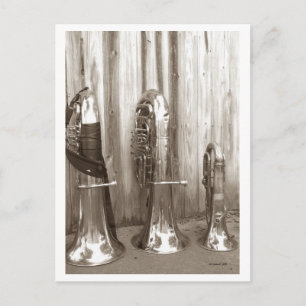 Papa Tuba, Mama Tuba and Baby Tuba Postcard