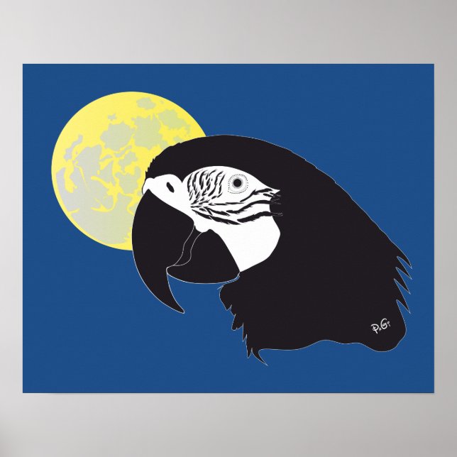 Papagei Ara Poster (Front)