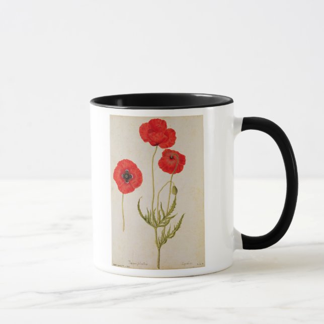 Papavar rhoeas, c.1568 mug (Right)