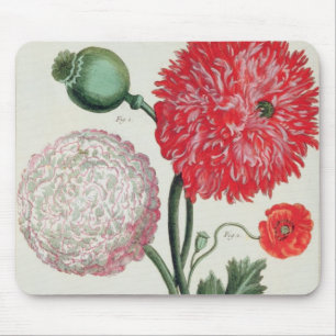 Papaver somniferum and Papaver rheas engraved by G Mouse Pad