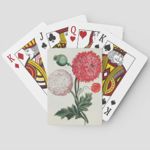 Papaver somniferum and Papaver rheas engraved by G Playing Cards