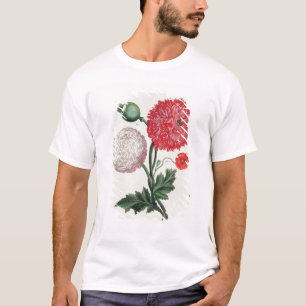 Papaver somniferum and Papaver rheas engraved by G T-Shirt