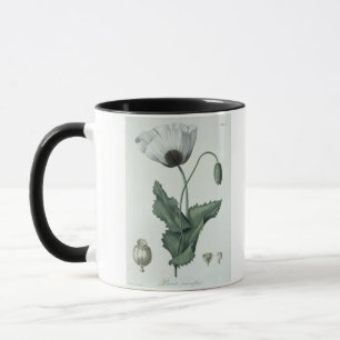 Papaver Somniferum from 'Phytographie Medicale' by Mug