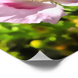 Papaver Somniferum Pink Poppy Art Poster