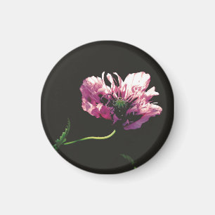 Papaver Sugarplum Magnet