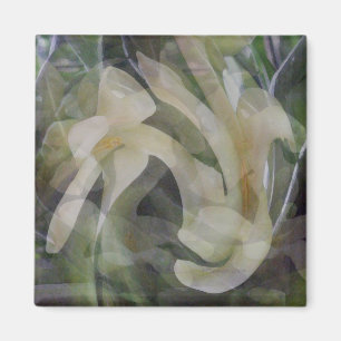 Papaya Flower in Abstract Magnet