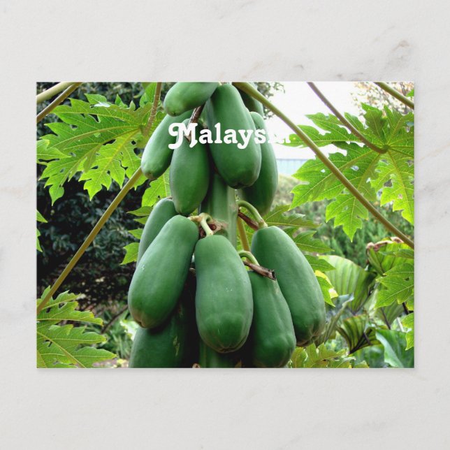 Papaya Postcard (Front)