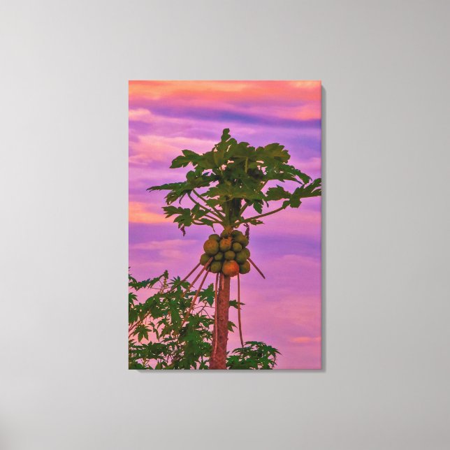 Papaya Tree And Brazilian Sunset Canvas Print (Front)