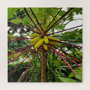 Papaya Tree Jigsaw Puzzle