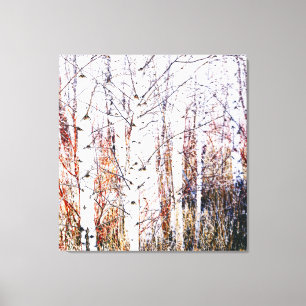Paper Birch Tree Forest High Key Stylised Canvas Print