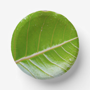 Paper Bowl with Leaf Design Paper Plate
