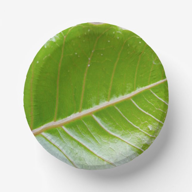 Paper Bowl with Leaf Design Plate (Front)