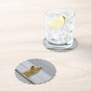 Paper Coaster
